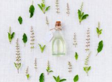 herbs that heal